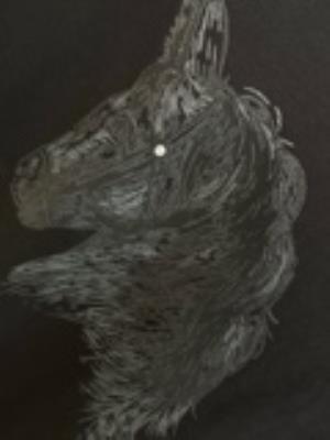 wholesale quality hermes men shirts model no. 243